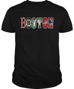Official Boston Sport Teams guys shirt