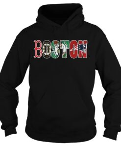 Official Boston Sport Teams hoodie shirt
