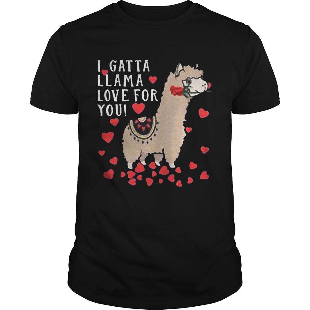 Valentine/'s Day shirt Llama T-shirt Llama Valentine/'s Day shirt Llama shirt