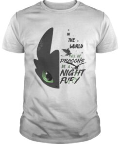 Toothless in the world full of Dragons be a Night Fury guy shirt