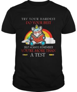 Unicorn Try your hardest do your best guy shirt