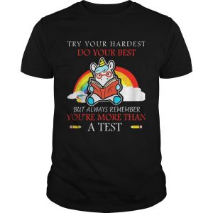 Unicorn Try your hardest do your best guy shirt