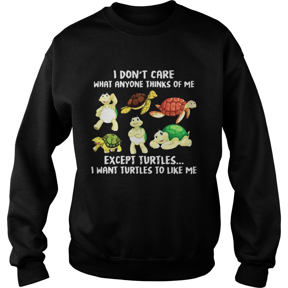 I Dont Care What Anyone Thinks Of Me Except Turtles I Want Turtles To Like Me Sweatshirt