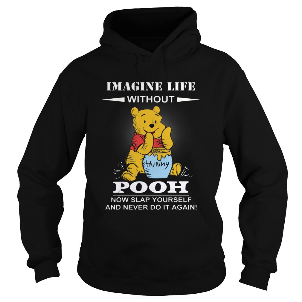 Imagine life without Pooh now slap yourself and never do it again Hoodie