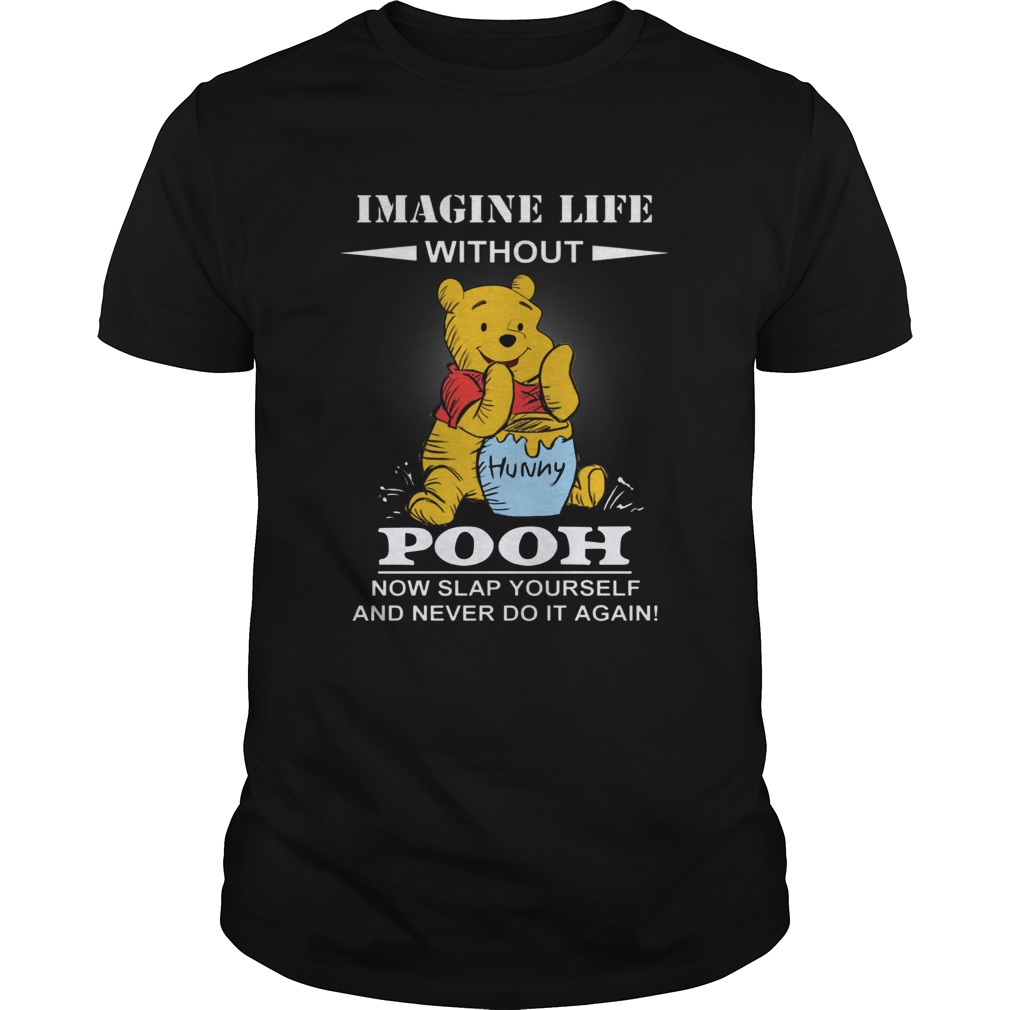 Imagine life without Pooh now slap yourself and never do it again shirt