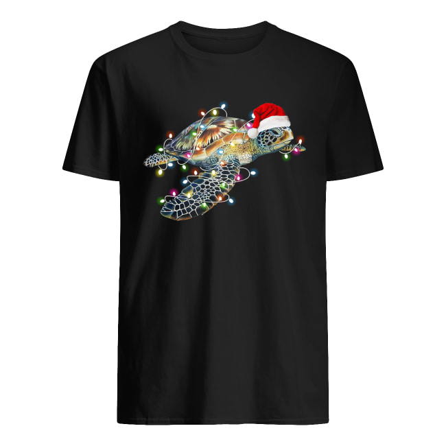 Turtle with Chirstmas hat and light shirt