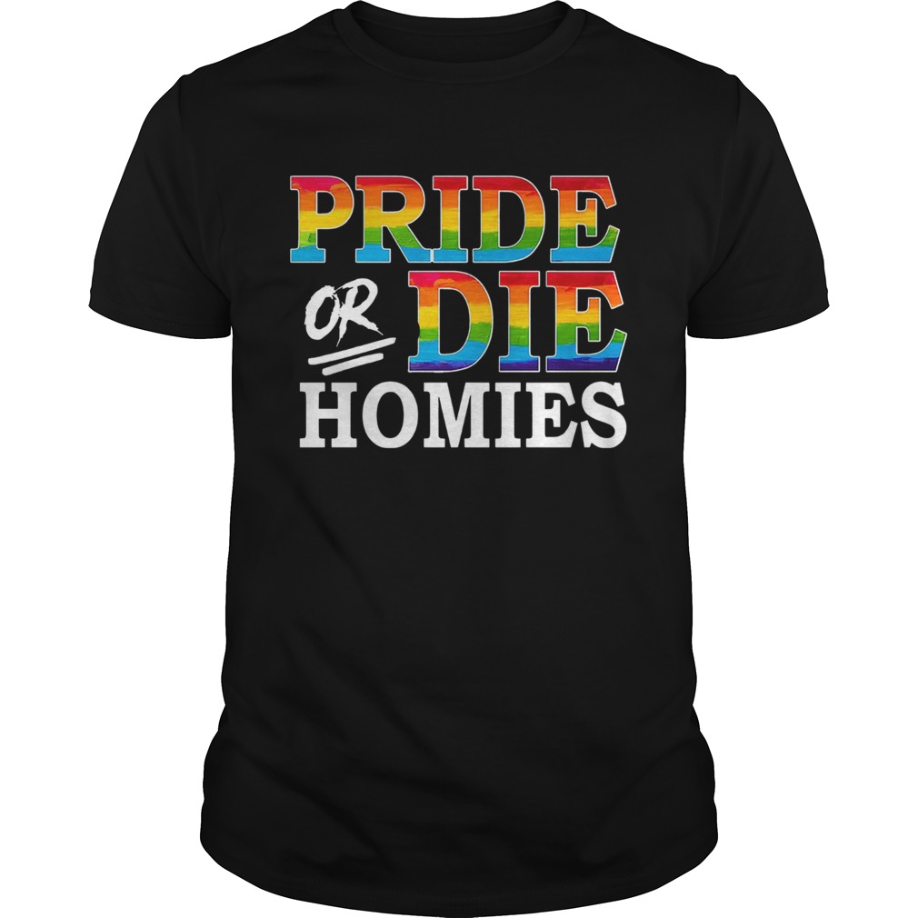 LGBT Pride Or Die Homies shirt