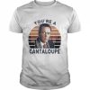 You’re A Cantaloupe Vintage Retro Shirt Classic Men's T-shirt